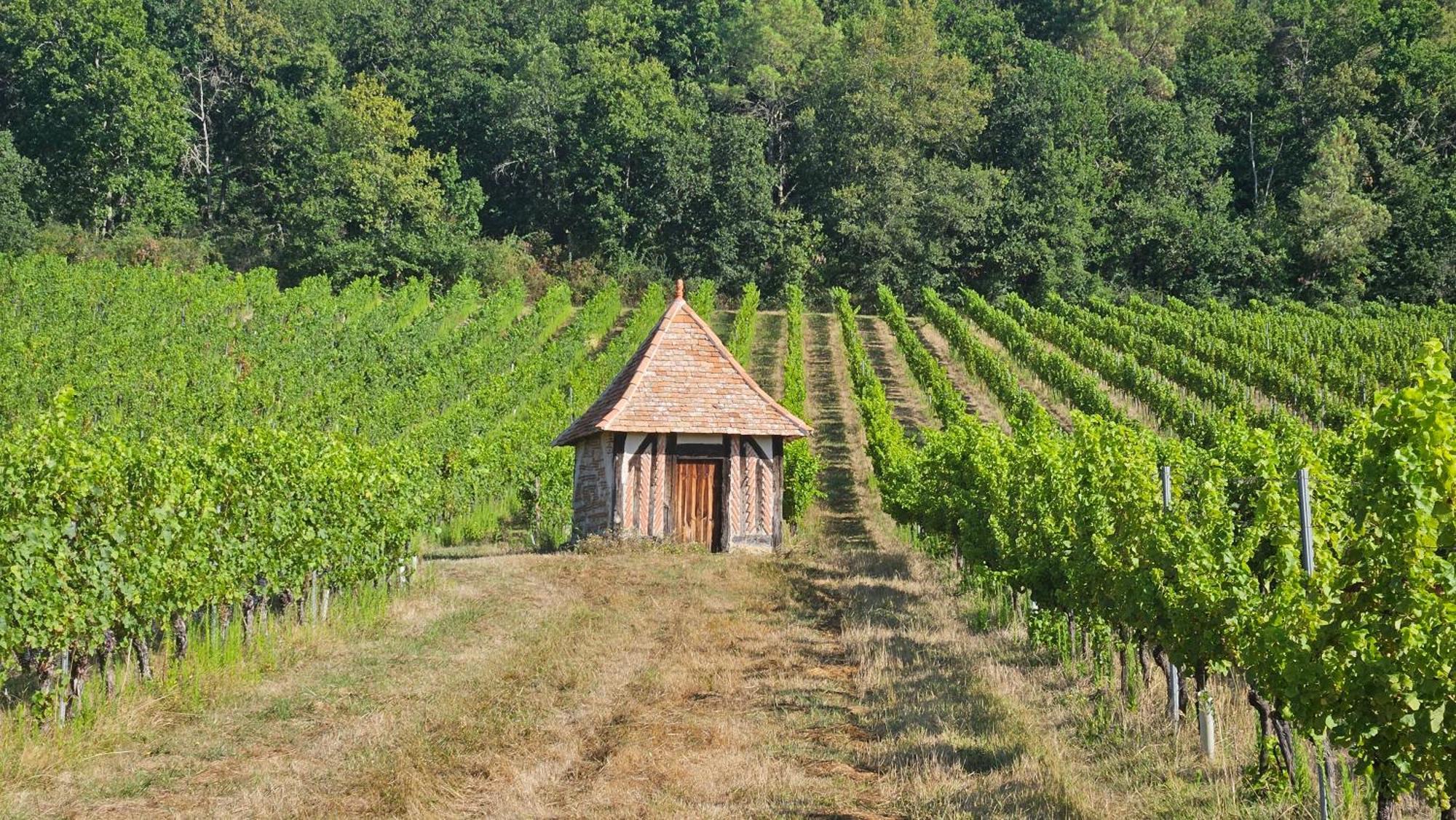 Chambres Et Gites Les Deux Chenes Pres De Bergerac Le Fleix Zewnętrze zdjęcie
