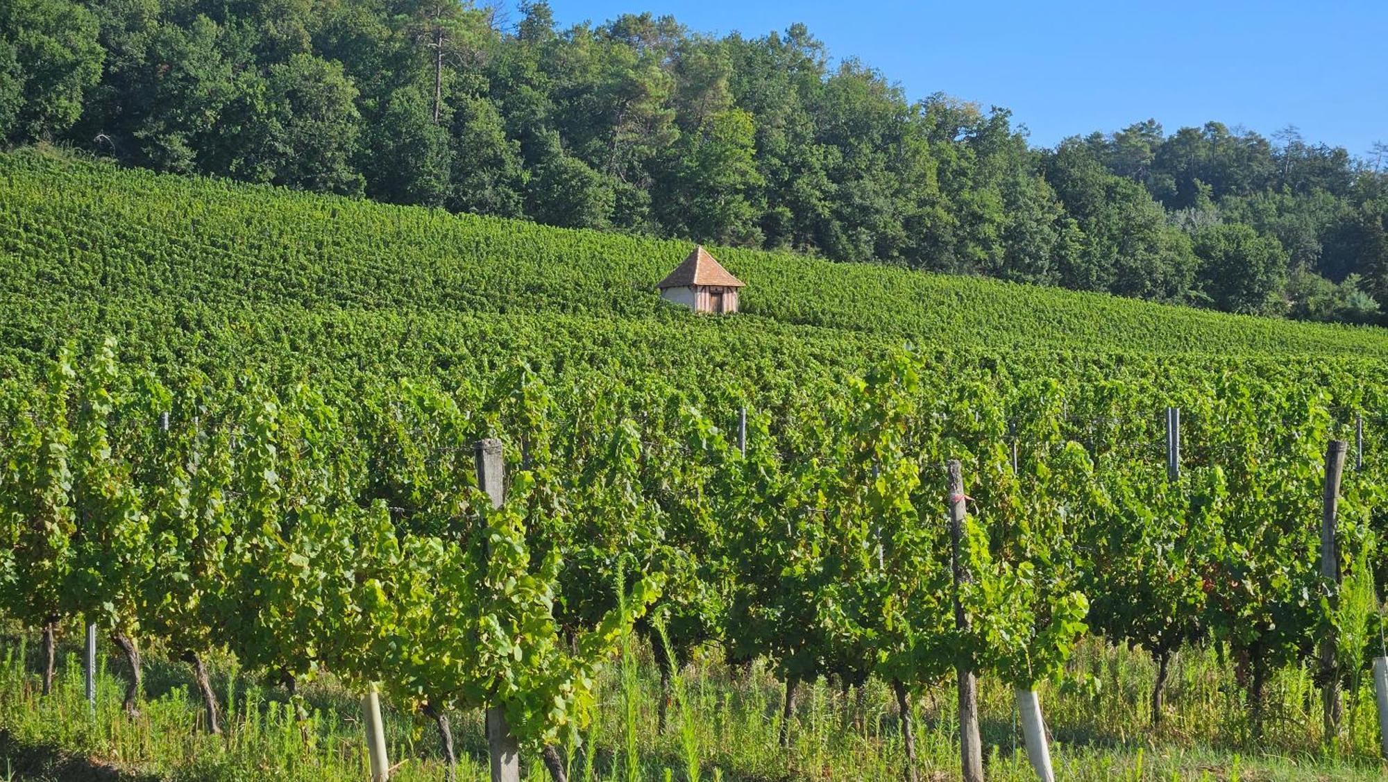 Chambres Et Gites Les Deux Chenes Pres De Bergerac Le Fleix Zewnętrze zdjęcie
