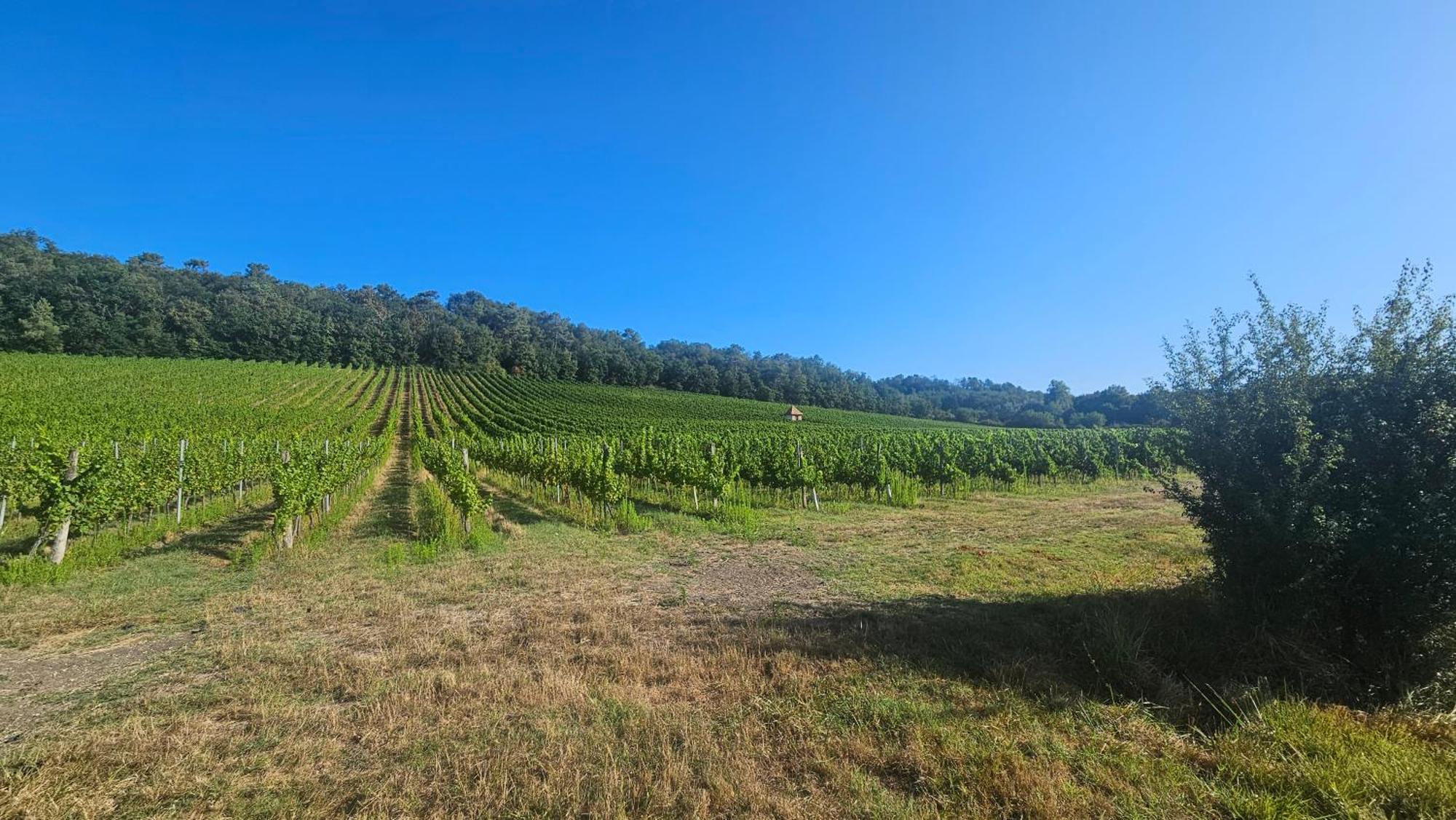 Chambres Et Gites Les Deux Chenes Pres De Bergerac Le Fleix Zewnętrze zdjęcie
